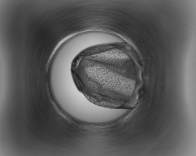 X0000085290838200703301936