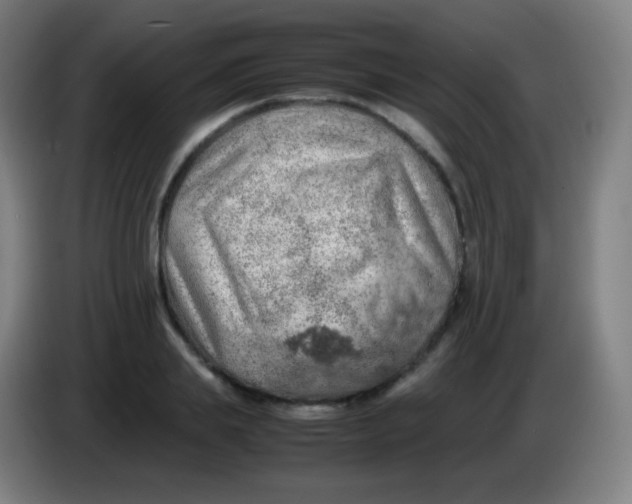 X0000085290839200703301936