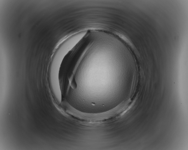 X0000085290842200703301936