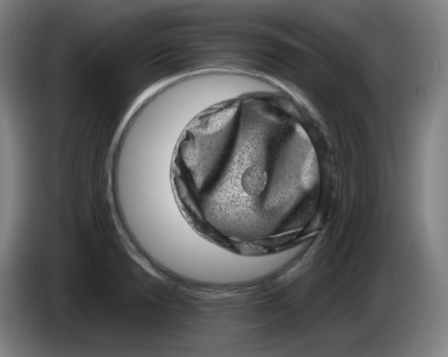 X0000085290846200703301936