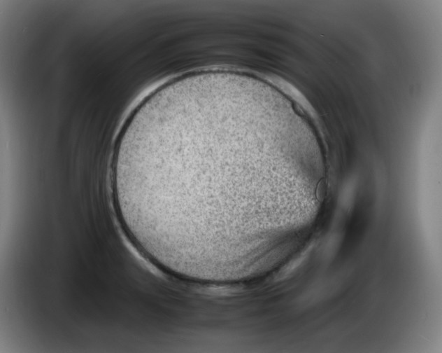 X0000085290847200703301936