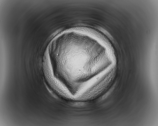 X0000085290849200703301936