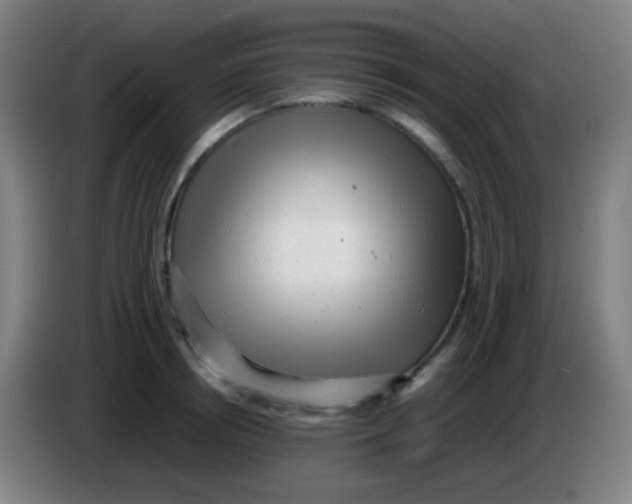 X0000085290850200703301936