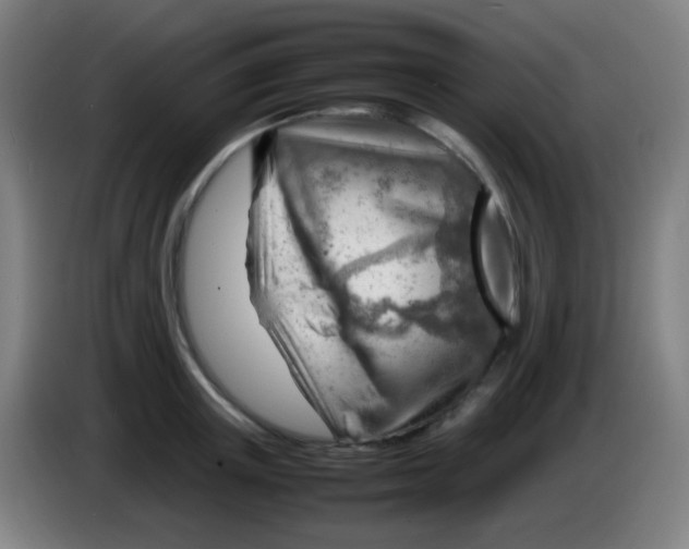 X0000085290851200703301936