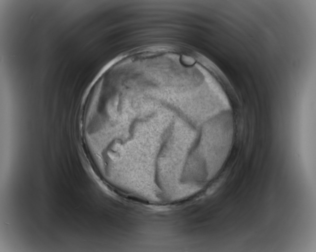 X0000085290852200703301936