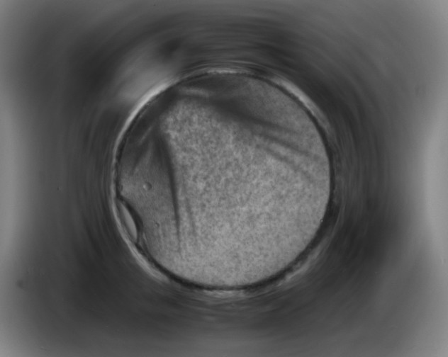 X0000085290853200703301936