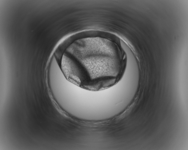 X0000085290854200703301936