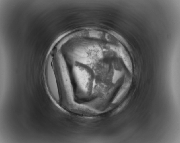 X0000085290855200703301936