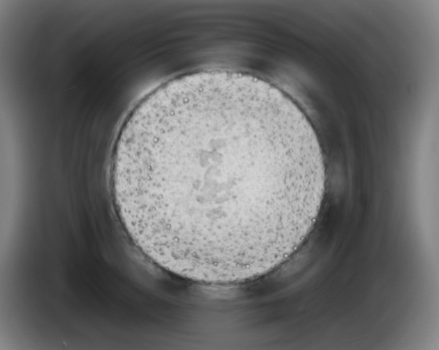 X0000085290856200703301936