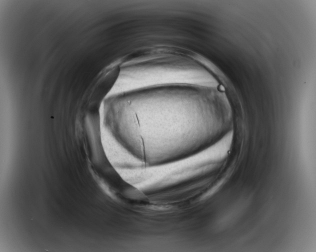 X0000085290857200703301936
