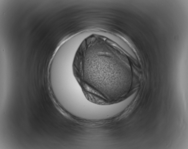 X0000085290858200703301936