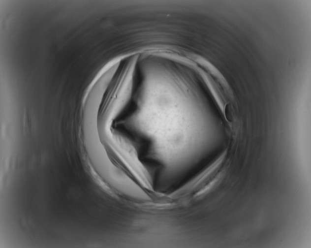 X0000085290860200703301936