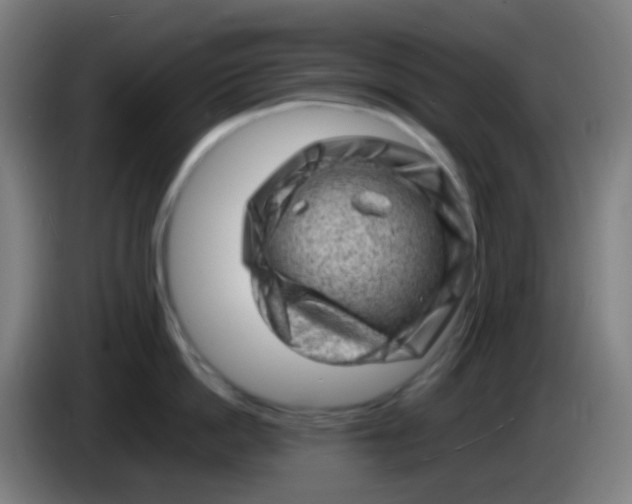 X0000085290862200703301936