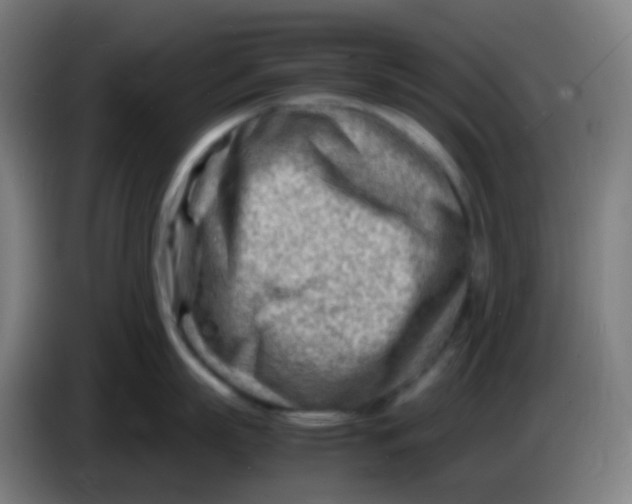 X0000085290863200703301937