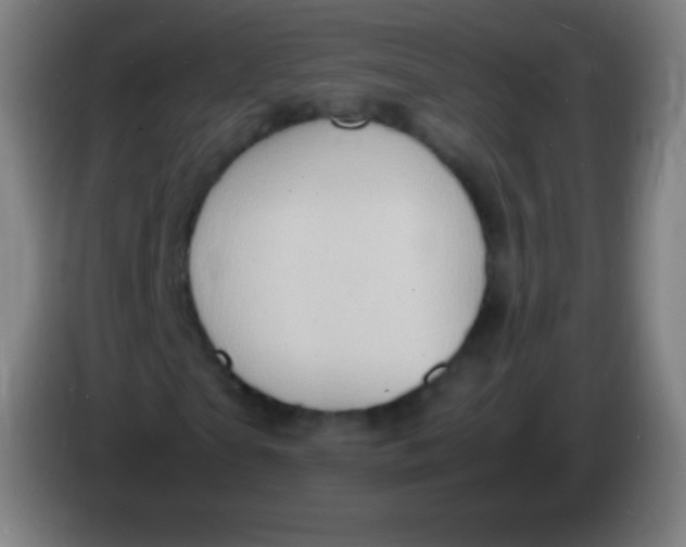 X0000085290865200703301936