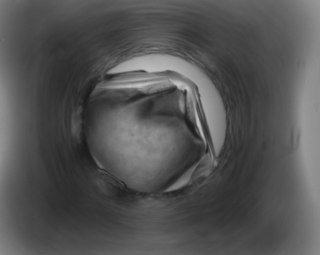 X0000085290868200703301936