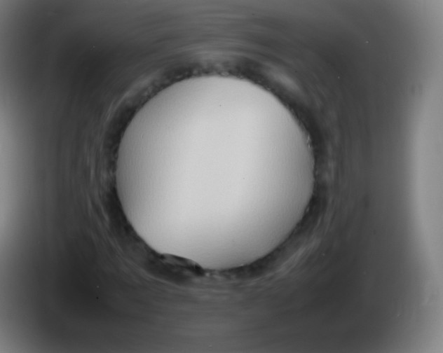 X0000085290869200703301936