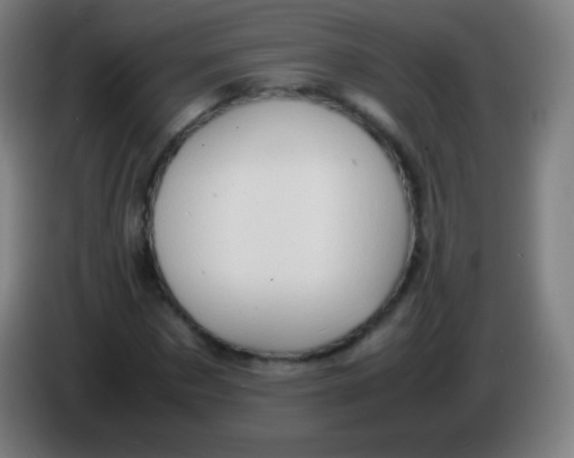 X0000085290873200703301936