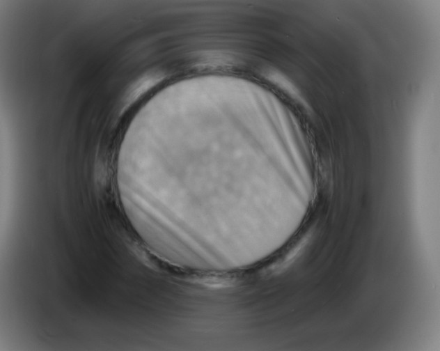 X0000085290874200703301936