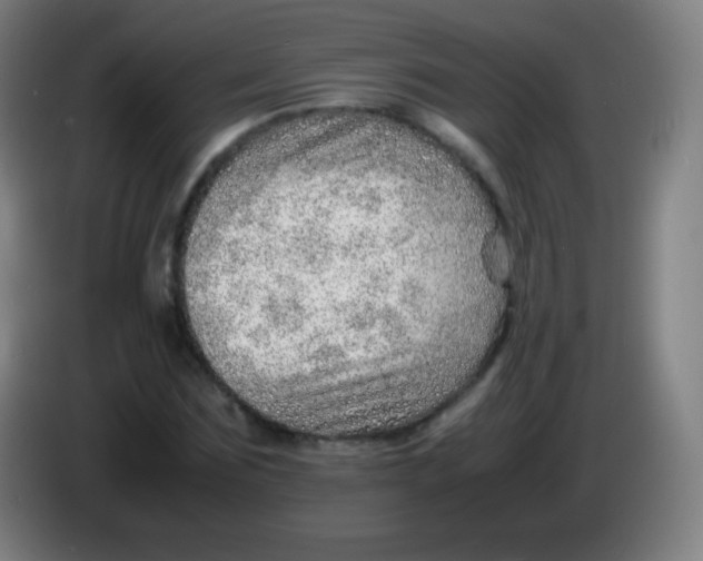 X0000085290875200703301936
