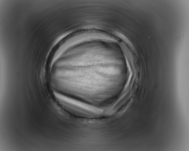 X0000085290876200703301936