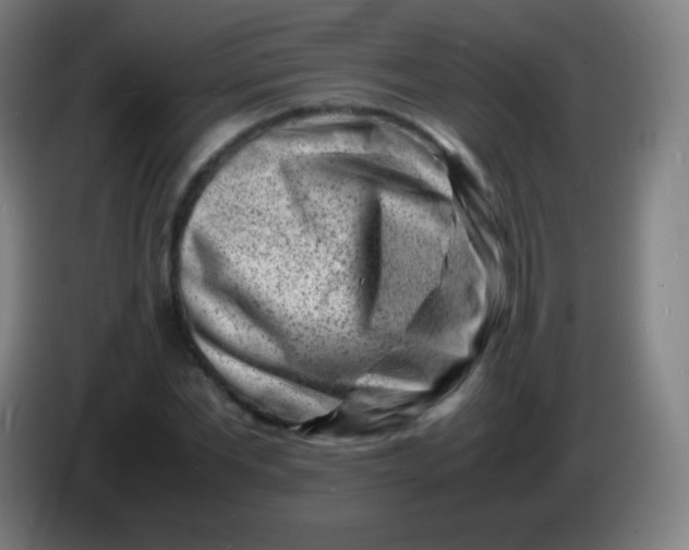 X0000085290877200703301936