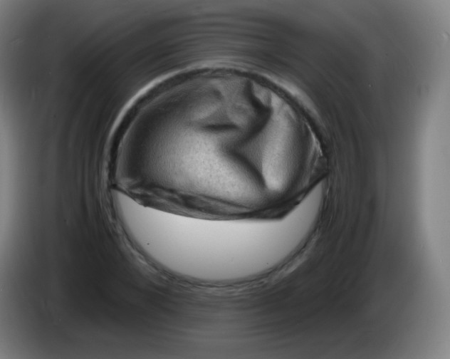 X0000085290880200703301936