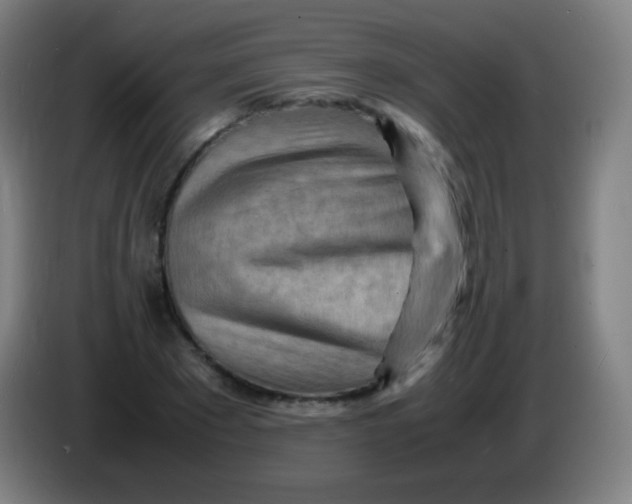 X0000085290881200703301936