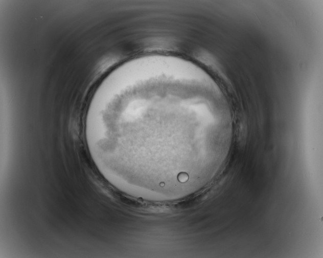 X0000085290882200703301936