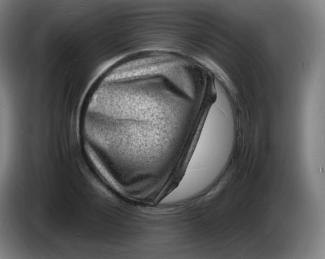 X0000085290884200703301936