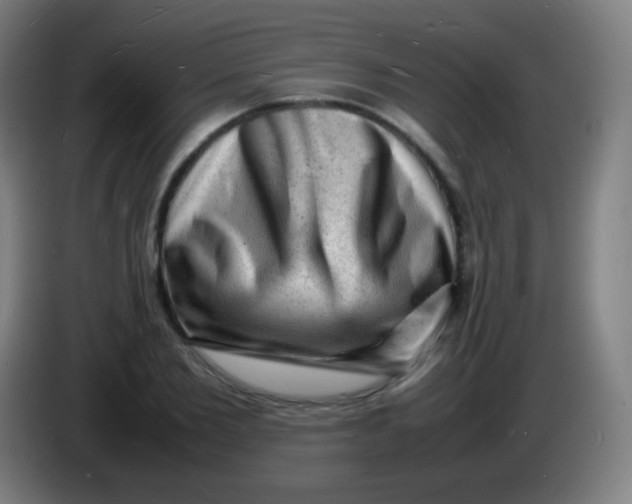 X0000085290885200703301936