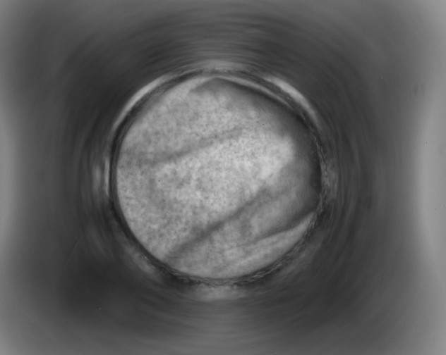 X0000085290886200703301936