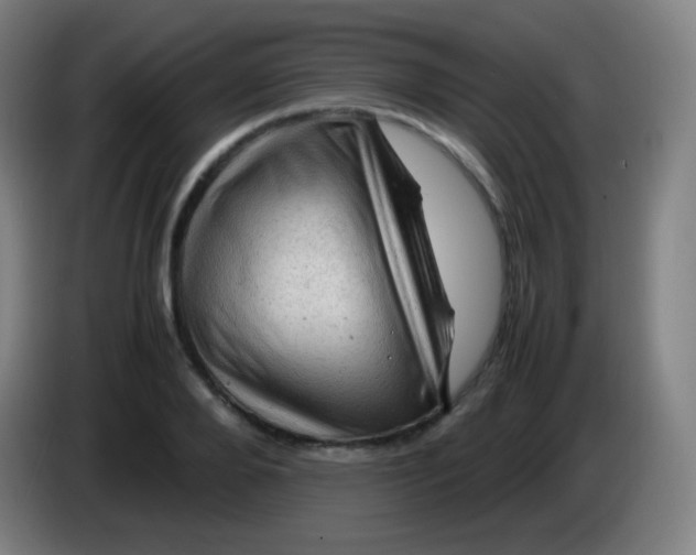 X0000085290888200703301936