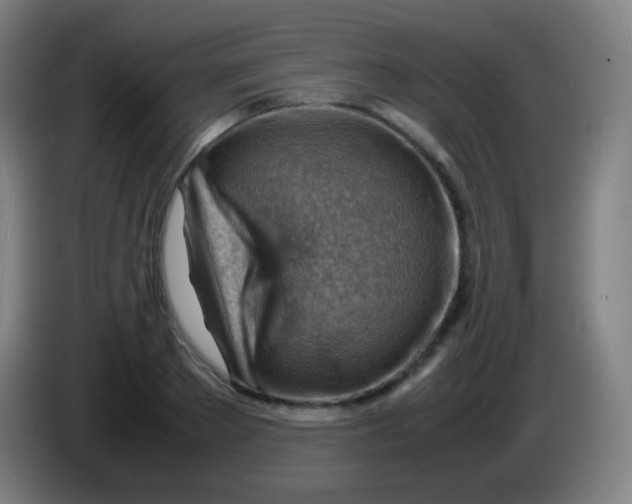 X0000085290889200703301935