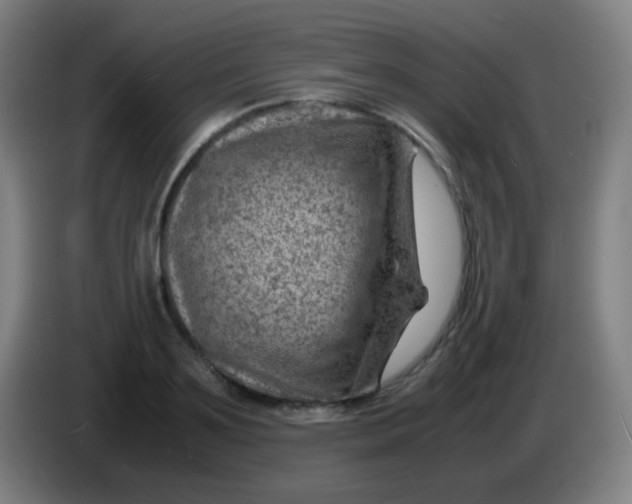 X0000085290891200703301935