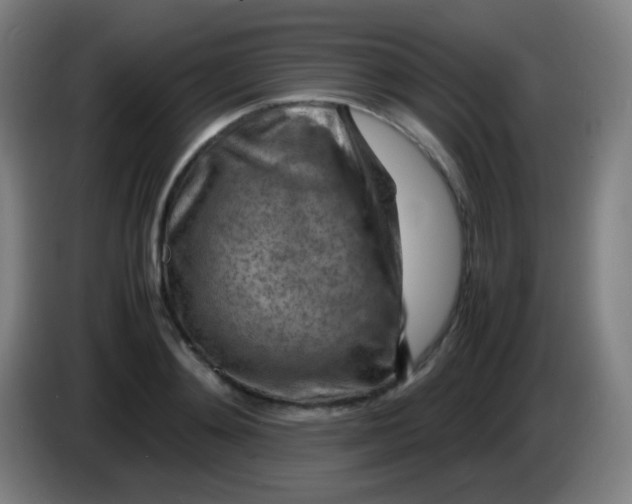 X0000085290892200703301935
