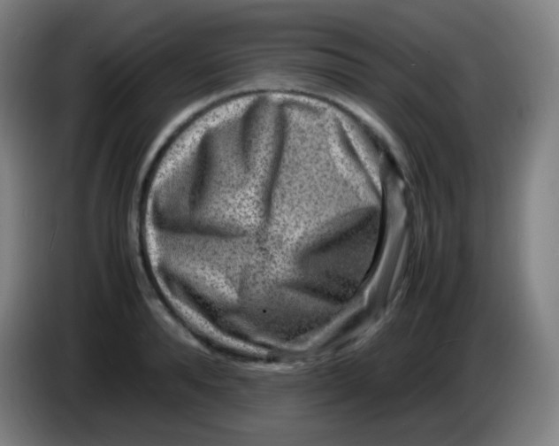 X0000085290896200703301935