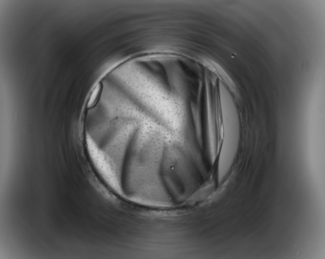 X0000085290900200703301935