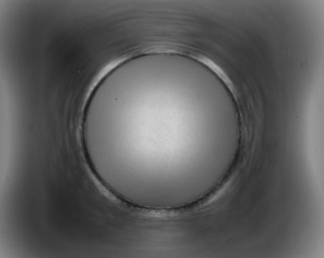X0000085290901200703301935