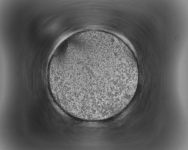 X0000085290903200703301935