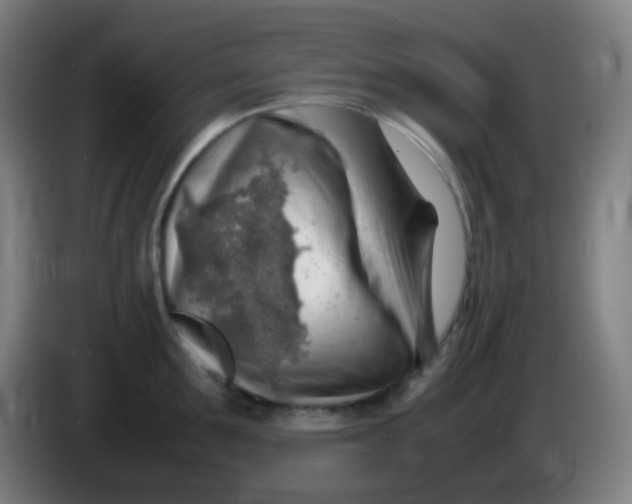 X0000085290907200703301935