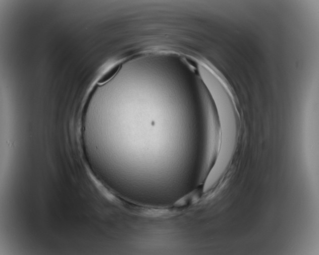 X0000085290909200703301935