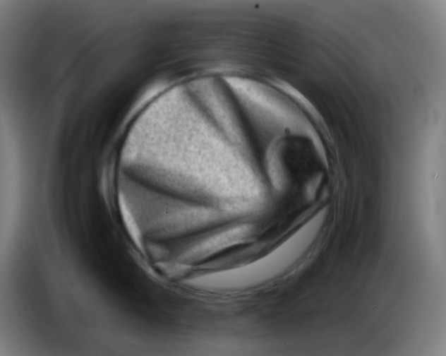 X0000085290910200703301935