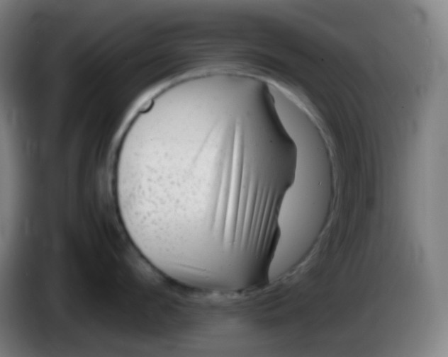 X0000085290912200703301935