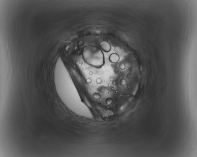 X0000085290913200703301934