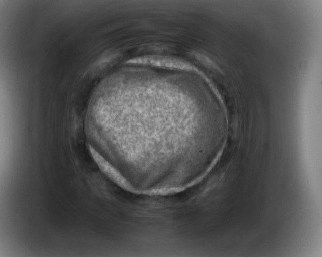 X0000085290917200703301935