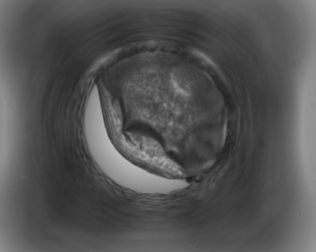 X0000085290919200703301935