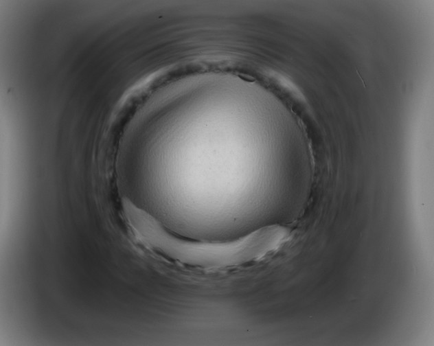 X0000085290920200703301935