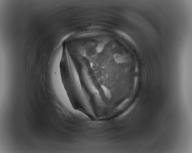 X0000085290921200703301935