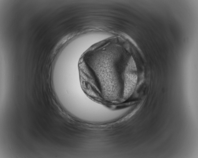 X0000085290922200703301935